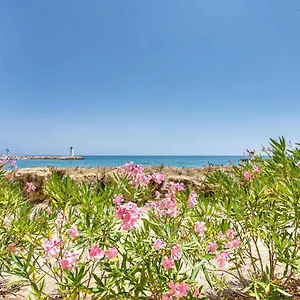  Appartement Magnifique 60 M2 Les Pieds Dans L'eau